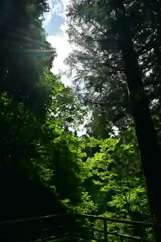 八海山尊神社元宮(旧里宮)(新潟県)