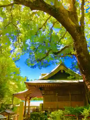 神崎神社の本殿・本堂