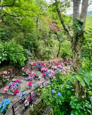長谷寺(奈良県)