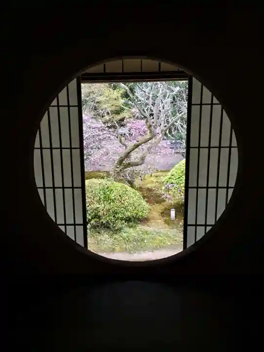 雲龍院(京都府)