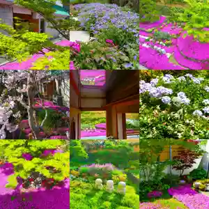 寿量山 速成寺(奈良県)(2024年12月31日(火) 13時10分17秒投稿)