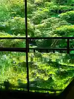 光明寺瑠璃光院(京都府)