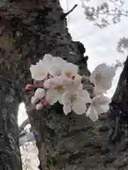 高家寺の自然