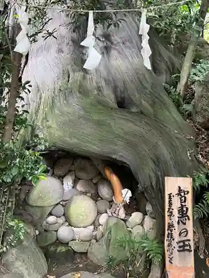 渋川八幡宮(群馬県)