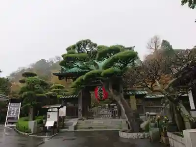 長谷寺の山門・神門