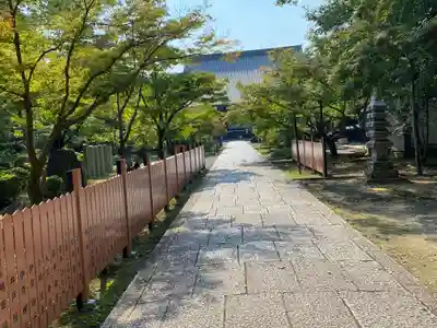 光明寺（粟生光明寺）(京都府)