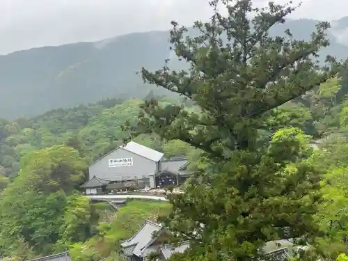 長谷寺の{uncategorized: "未分類", other: "その他", undefined: "問題あり", building: "その他建物", grave: "お墓", sacred_gate: "鳥居", guardian: "狛犬", statue: "像", buddha: "仏像", history: "歴史", nature: "自然", garden: "庭園", animal: "動物", pagoda: "塔", temizu: "手水舎", mountain_gate: "山門・神門", sanctuary: "本殿・本堂", subordinate: "末社・摂社", art: "芸術", scenery: "景色", jizo: "地蔵", ema: "絵馬", goshuin: "御朱印", omikuji: "おみくじ", items: "授与品その他", amulet: "お守り", goshuincho: "御朱印帳", eats: "食事", festival: "お祭り", votive_dance: "神楽", shichigosan: "七五三参", wedding: "結婚式", experience: "体験その他", initially: "初詣", around: "周辺", anti_infection: "感染症対策"}
