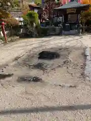 黒隅寺の建物その他