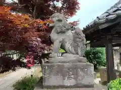 境香取神社の狛犬