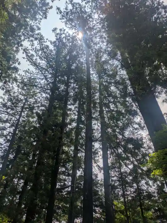 日光二荒山神社(栃木県)