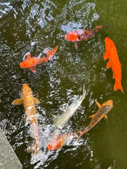 西新井大師総持寺(東京都)