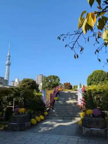 亀戸天神社の景色