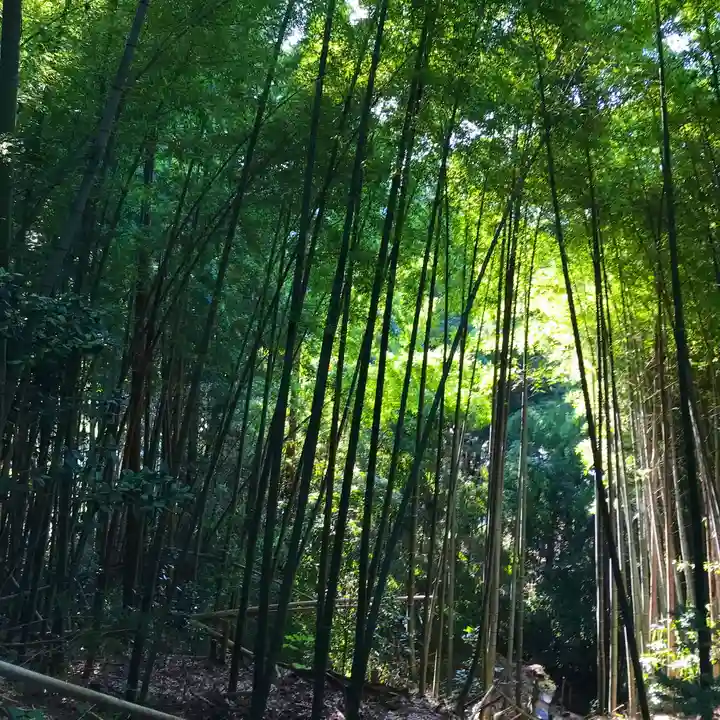 愛宕神社の周辺