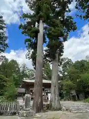 小椋神社の自然