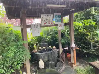 高知大神宮の手水舎