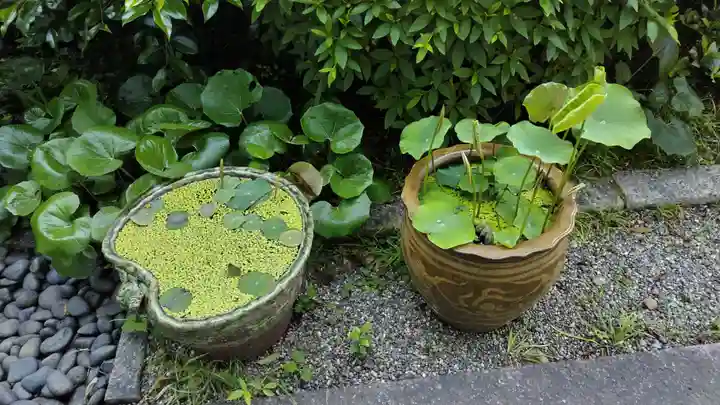 祐正寺(京都府)