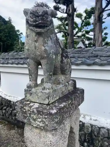 八雲神社の狛犬