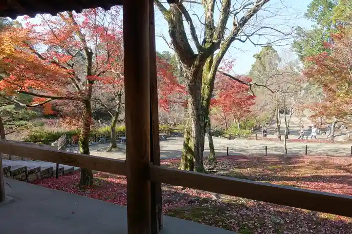 東福禅寺(東福寺)の庭園