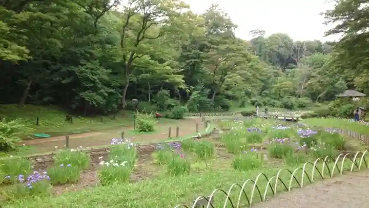 明治神宮(東京都)
