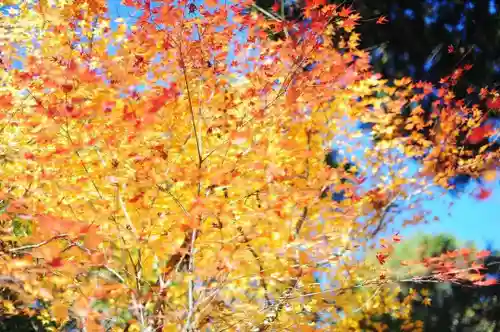 浄土寺(兵庫県)