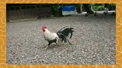 岩槻久伊豆神社(埼玉県)