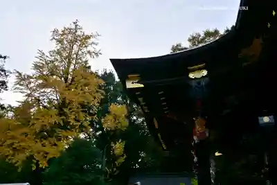 秩父神社(埼玉県)
