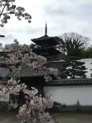 當麻寺(奈良県)