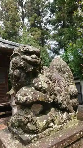 下野 星宮神社の狛犬