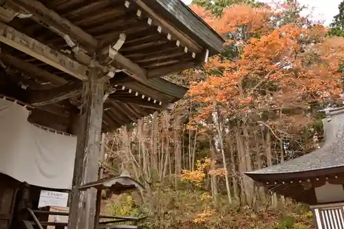 戸隠神社中社の本殿