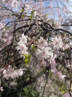 南殿順興寺(京都府)