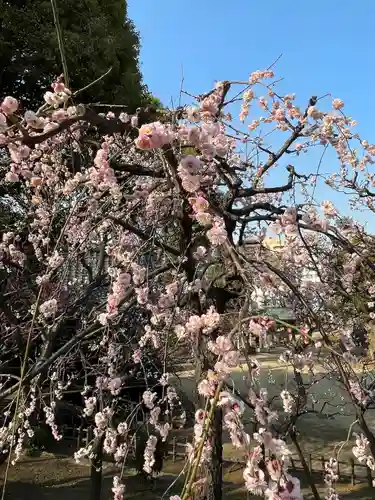 西向天神社(東京都)