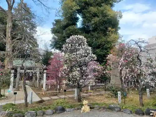 布多天神社の庭園