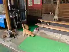 縣主神社の動物