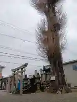 秋葉神社(岐阜県)