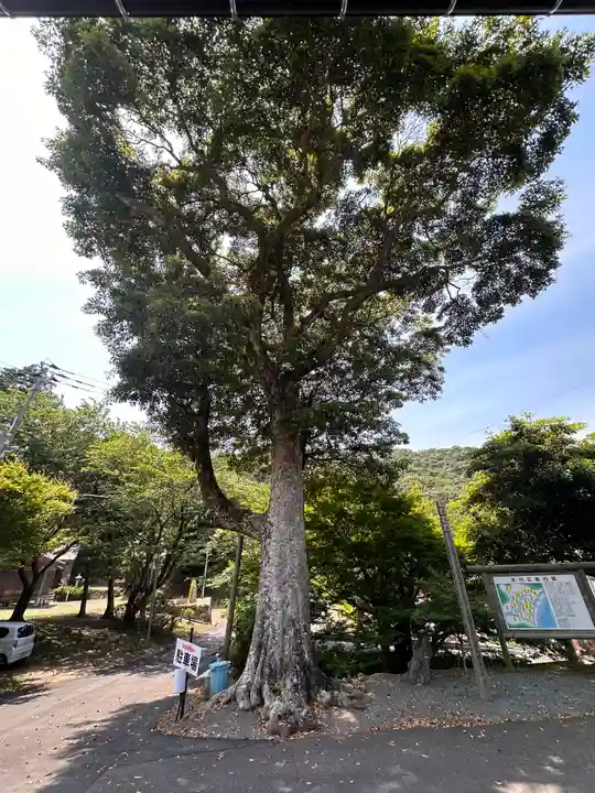 福寿寺(福井県)