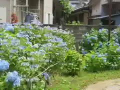 上戸田氷川神社(埼玉県)