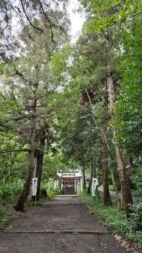 三ケ尻八幡神社(埼玉県)