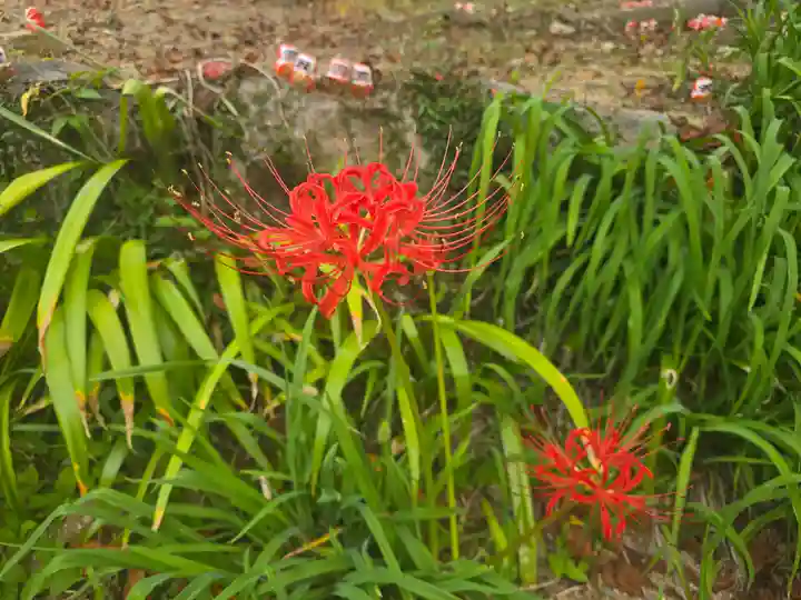勝尾寺(大阪府)