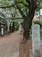 田端神社(東京都)