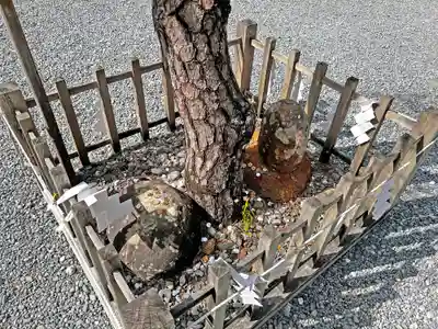 小國神社(静岡県)