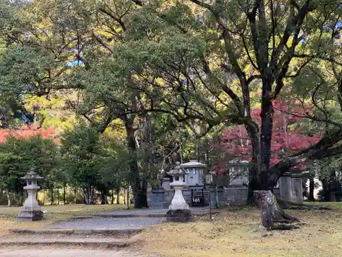 大斎原（熊野本宮大社旧社地）(和歌山県)