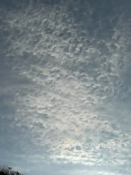 安房神社(千葉県)