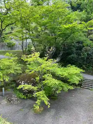 普門院（文知摺観音）(福島県)