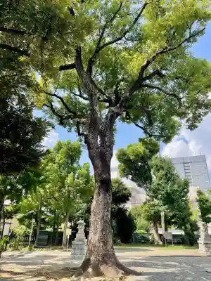 神明神社(神奈川県)