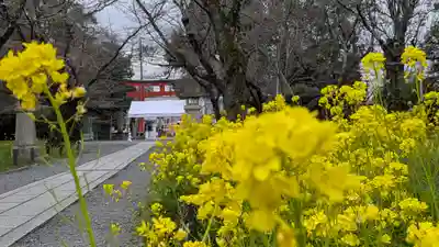 平野神社(京都府)