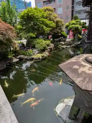 妙音寺(東京都)