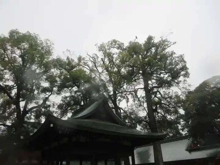 武蔵一宮氷川神社(埼玉県)
