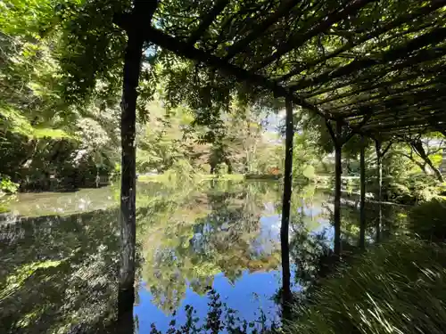 富士山本宮浅間大社(静岡県)