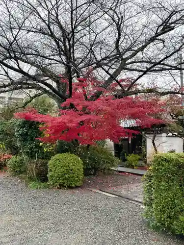円常院(圓常院) enjoyntemple(京都府)