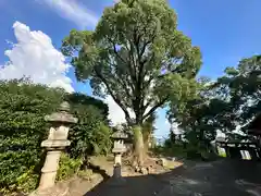 植槻八幡神社(奈良県)